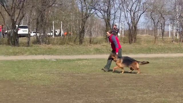 Моно КЧК. Иркутск 6 мая. Shumihoff Supra смотреть онлайн