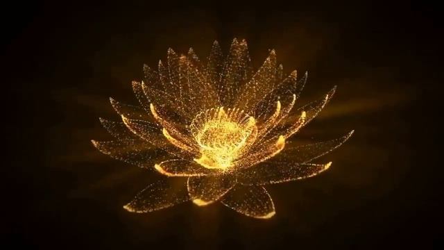 Почему каждій из нас имеет ключ к изменениям на Земле