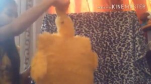 Как сделать кровать для реборна-baby borna/ скоро будет реборн 😍