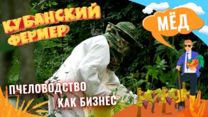 Медовый бизнес. Пчеловод из Геленджика поделился историей создания пасеки и производства меда