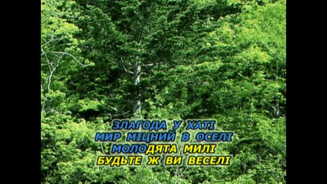 Благословення (Караоке) - Українські застольні пісні смотреть онлайн