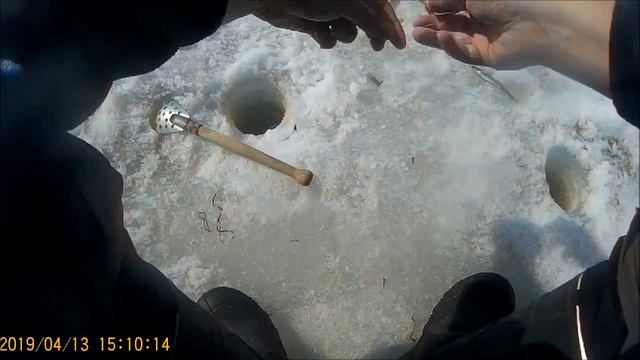 Корюшка, апрель, Камчатка смотреть онлайн