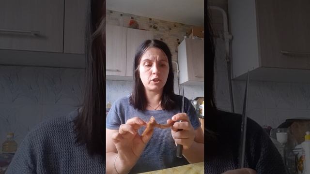 грибы опята. Часть 1