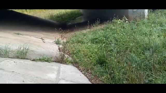 Какой хозяин - таково и хозяйство. Или РАЗДОЛБАЙСТВО. А зачем если нет ума. смотреть онлайн