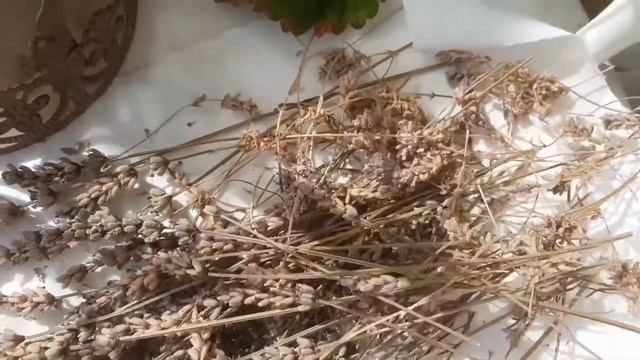 Декорирую к осени. Идеи для балкона и гостиной. Cozy home. Влог. Германия. Сентябрь 2021