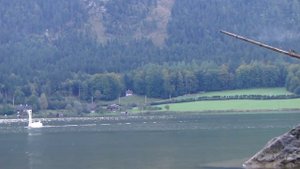 Кусачий Лебедь на озере Untersee Oberösterreich (Hallstatt Gosaumühle)