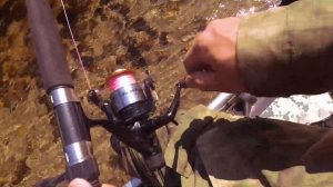 Рыбалка на хариуса. Байкал. Ловим, пока нет медведя.