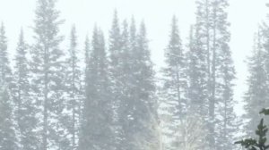 "Волк - одиночка": вой волка, метели и рокот супербасового варгана! Медитация и полный релакс!