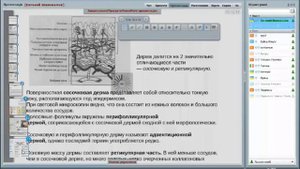 Основы дерматологии в косметологии. Теория диагностика лечение