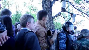 Жесткий разгон митингующих на Болотной. 6 мая 2012 г