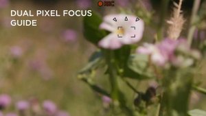 Canon XF605 | Introduction Video (Canon Official)