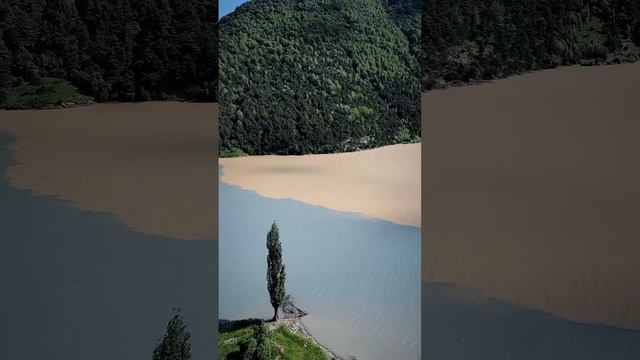 Доброе утро, страна!✌

🇷🇺 Россия-самая лучшая страна в мире, а все остальные страны нам завидуют!