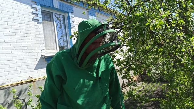 Наращивание пчел весной. За 50 дней поднял(нарастил) пчел из одной рамки до корпуса пчелы