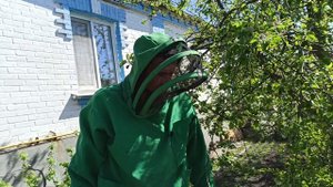 Наращивание пчел весной. За 50 дней поднял(нарастил) пчел из одной рамки до корпуса пчелы