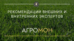 Рекомендации от экспертов
