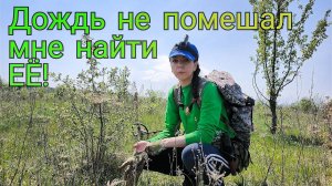 Коп 2020. Дождь не помешал мне найти ЕЁ!