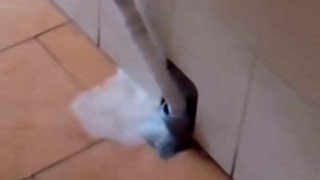 Сломанный унитаз смотреть онлайн