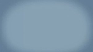 Николаевск-на-Амуре и освоение Приморья