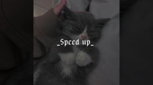 Мария Чайковская-,,Тебя хоть там любят?"(speed up)