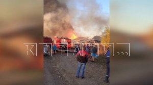 Сегодня ночью в посёлке Новый мир сгорело фермерское хозяйство