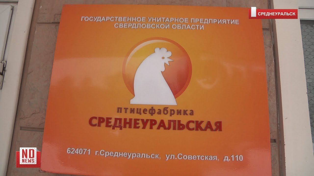 Среднеуральскую птицефабрику потребовали закрыть