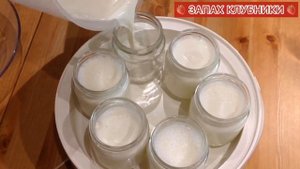 ДОМАШНИЙ МАЦОНИ в ЙОГУРТНИЦЕ #рецепты #кулинария #мацони