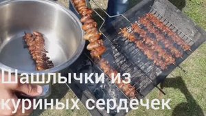 Шашлык!!!! из куриных сердечек! Осторожно, вызывает привыкание)