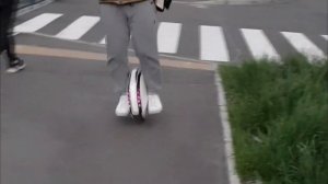 Моноколесо Ninebot one A1
