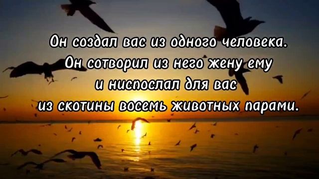 Сура Аль-Фатиха ,  СУРА 39: «АЗ-ЗУМАР» («ТОЛПЫ») , аяты 1-10. Чтец Салман аль - Утайби. смотреть онлайн