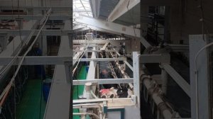 Движение коров по резиновому покрытию в доильном зале ПАРАЛЛЕЛЬ.