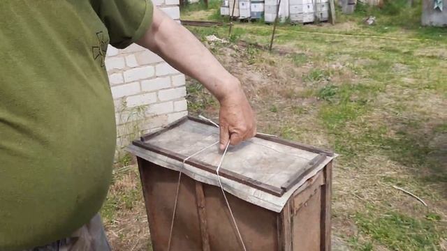 Как поймать рой. Что поставить в ловушки для пчел. Чем обработать ловушки для роёв. Охота началась смотреть онлайн