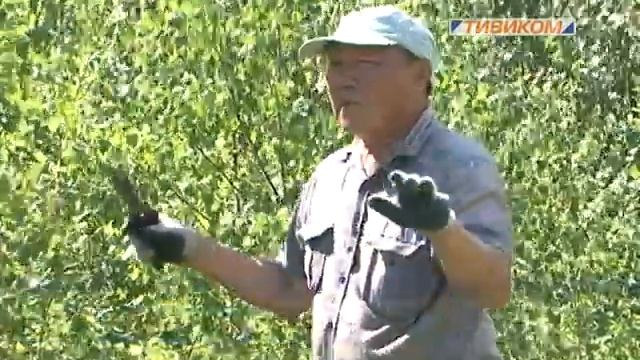 деликатес из леса смотреть онлайн