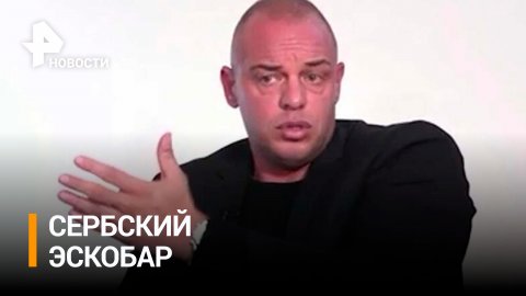 Как бывший футболист "Спартака" стал настоящим сербским Эскобаром / РЕН Новости