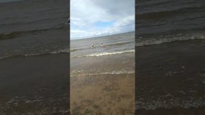 Мальчики купаются в 14 градусов