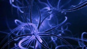 Пробуждение Творца. Соединение с Источником. Инициация Нового Времени