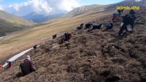 yarsagumba hunting with lajim budha || Nepal || cordyceps || caterpillar fungus || maikot ||