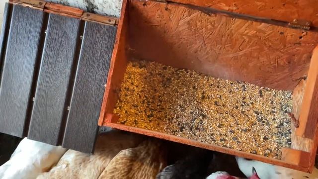 Бункерная кормушка для кур несушек превращается Состав зерносмеси