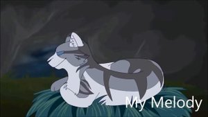 •Коты Воители• Искра Клип~Rise