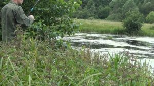 Отчёт о рыбалке №195_в июне  на карася