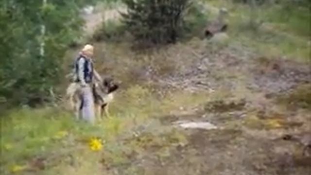 Медведь России Штурман, тестирование, Выборг 2011 г. ч.2 смотреть онлайн