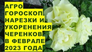 Агрогороскоп нарезки и укоренения черенков растений в феврале 2023 года