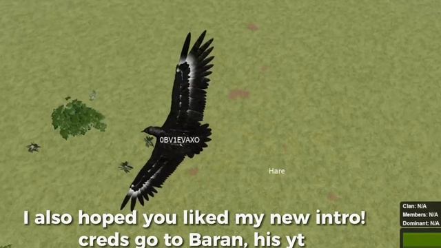 JOIN MY DISCORD FILMING SERVER !! ((NEW INTRO)) Roblox Wild Savanna смотреть онлайн