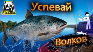 RF4 КЛЕВ ЗА КЛЕВОМ, ПРОСТО УСПЕВАЙ #рр4