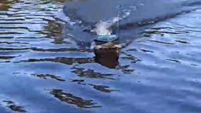 bby patriot смотреть онлайн