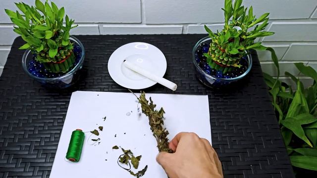 Очищение Негатива с Дома , Ритуал очищение Дома _ Ритуальная Магия