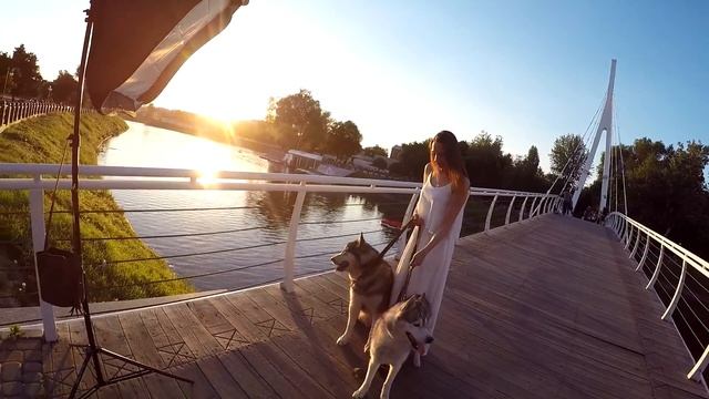 Хаски фото с девушкой / фотосессия с собаками