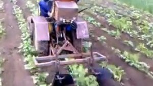 Окучивание картошки минитрактором