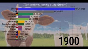 Производство молока по странам 1961-2020. Какое же место занимает Россия?[ИНФОГРАФИКА].