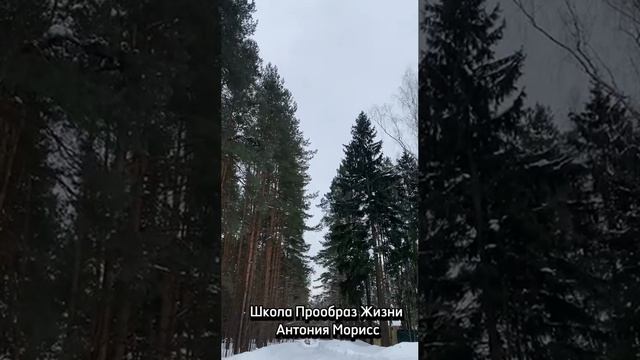 ИСПОЛНИТЕЛЬ ЖЕЛАНИЙ# КАК ИСПОЛНЯТЬ ЛЮБОЕ ЖЕЛАНИЕ#АНТОНИЯ МОРИСС#