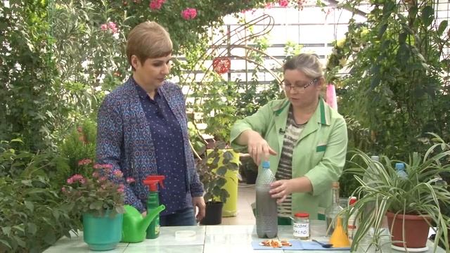 Борьба с вредителями растений народными средствами смотреть онлайн